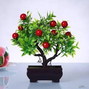 全国花卉苗木种植区域分布及趋势分析
